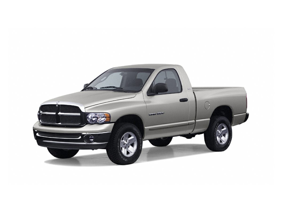 2002 Dodge Ram 1500 Base